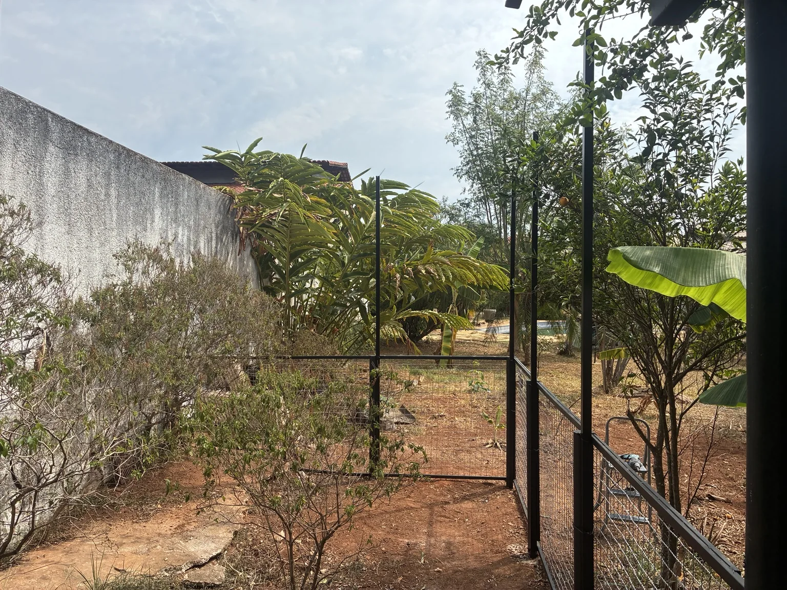 Vista interna do espaço cercado, com vegetação e rede de proteção na SHIS QI 27, Conjunto 16, Lago Sul