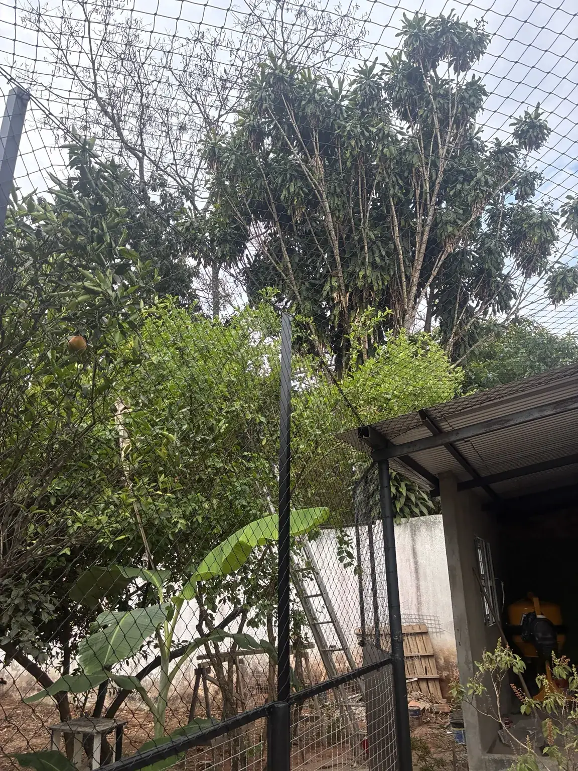 Detalhe vertical da rede no fechamento superior do gatil na SHIS QI 27, Conjunto 16, Lago Sul