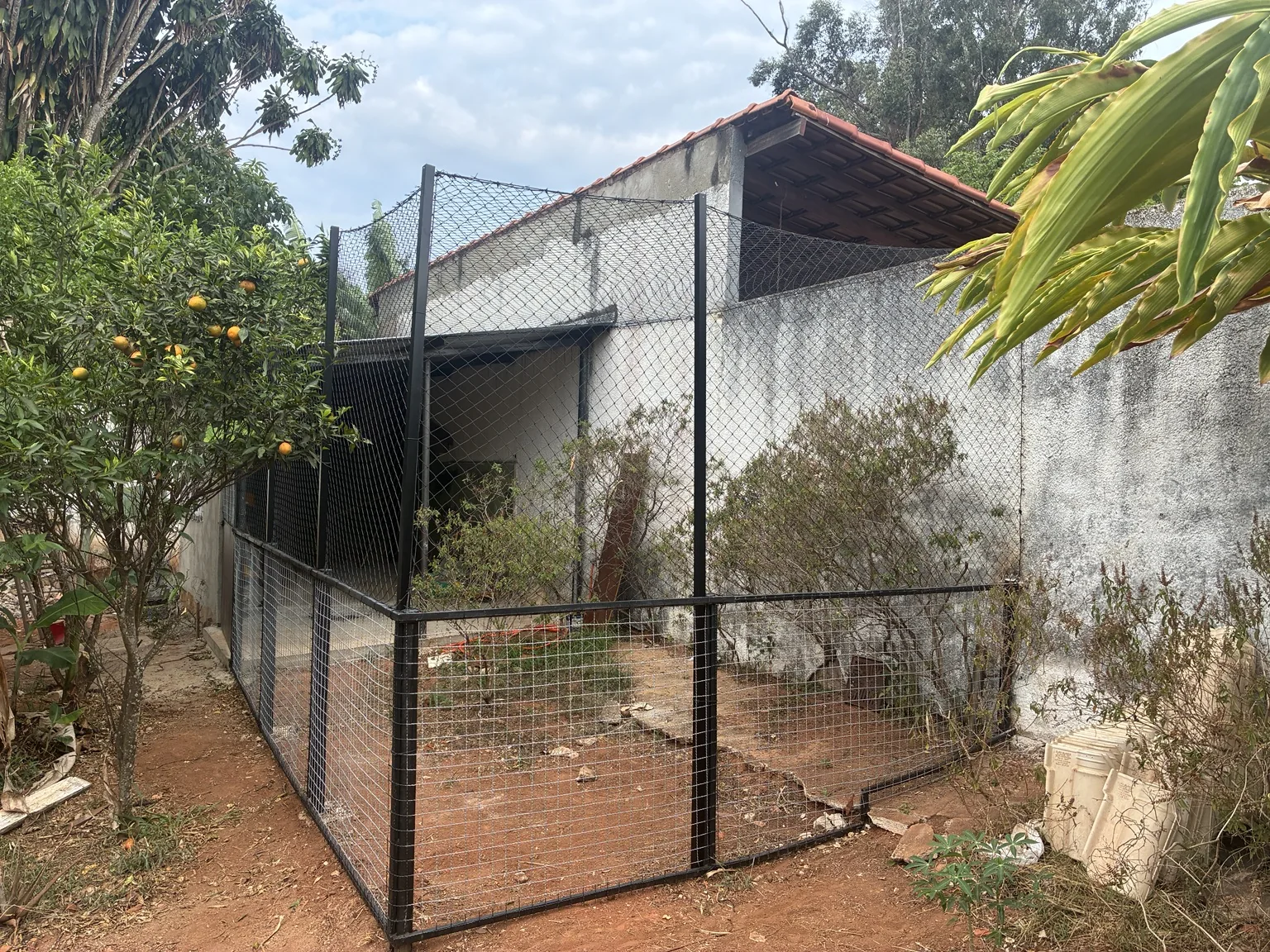 Vista geral do gatil com rede preta nas laterais e na cobertura na SHIS QI 27, Conjunto 16, Lago Sul