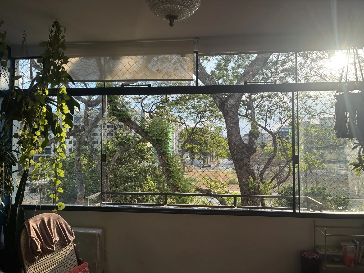 Vista geral das janelas protegidas com rede preta 5×5 cm — SQN 411, Bloco K, Asa Norte.
