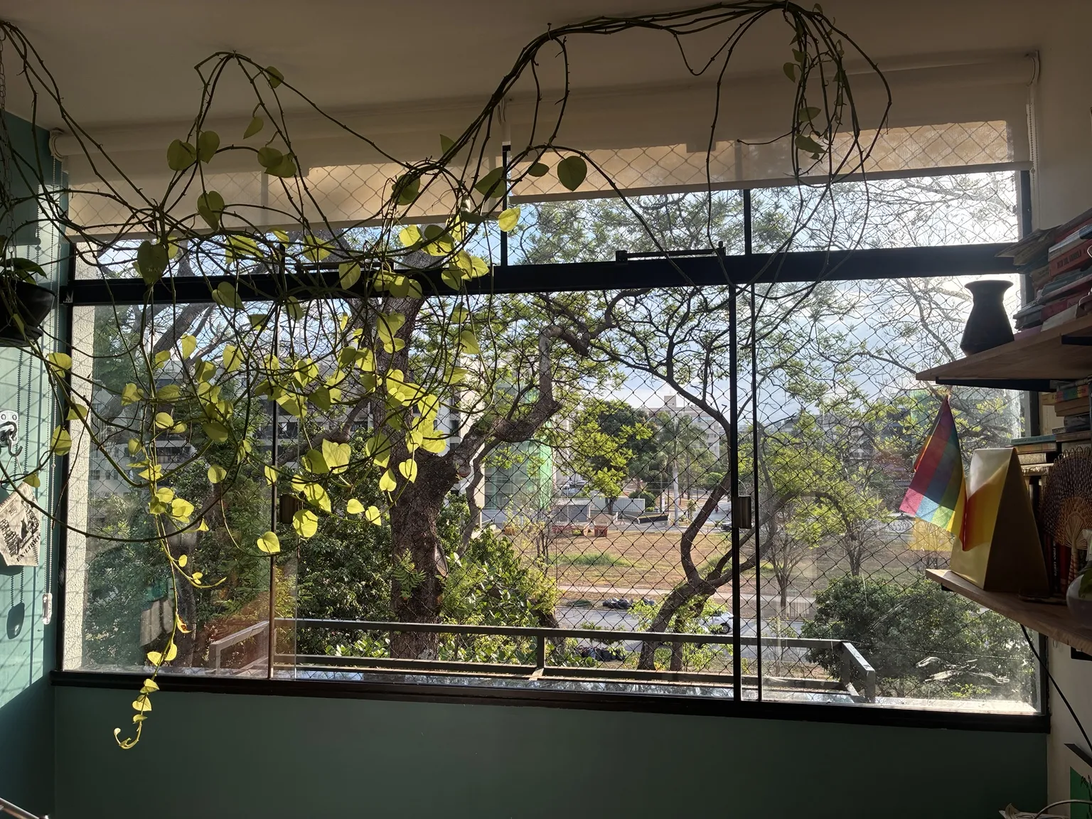 Rede preta nas janelas junto às plantas da residência — SQN 411, Bloco K, Asa Norte.