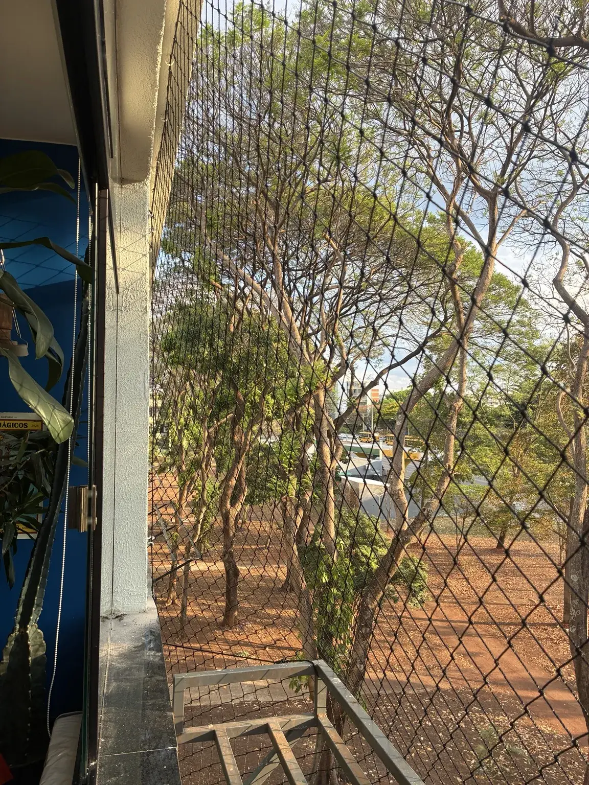 Vista lateral da rede preta com a vegetação ao fundo — SQN 411, Bloco K, Asa Norte.