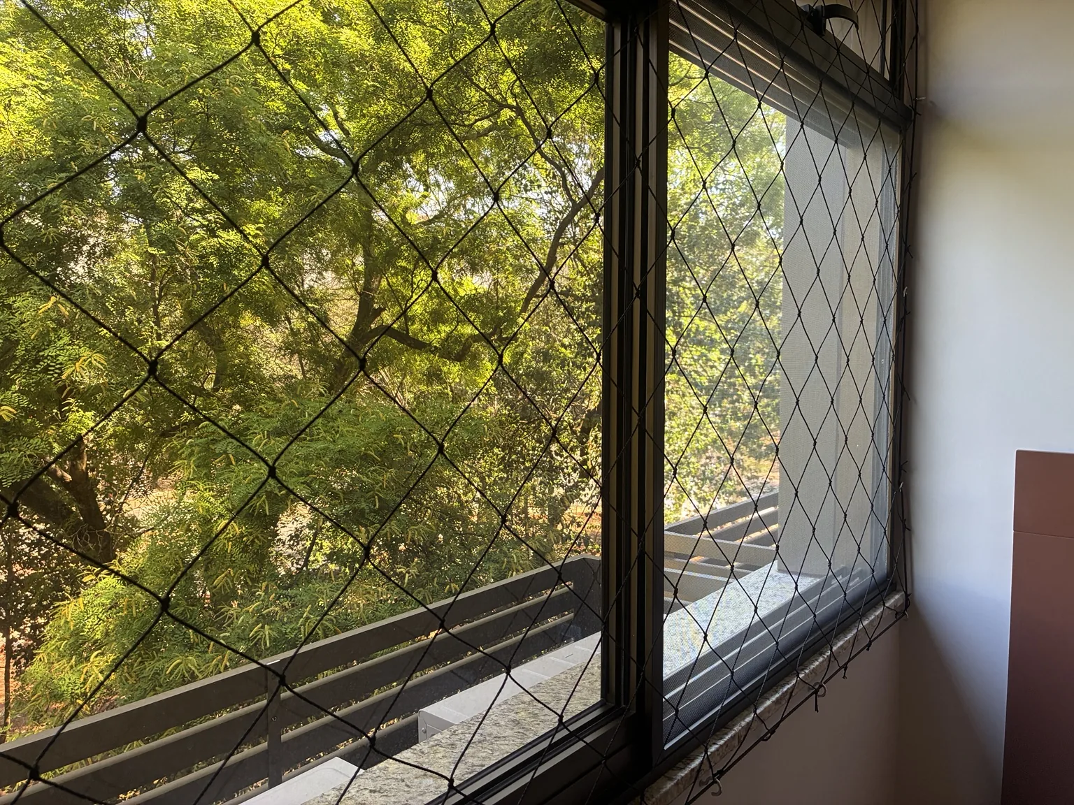 Detalhe da rede preta junto à janela, com vegetação ao fundo.