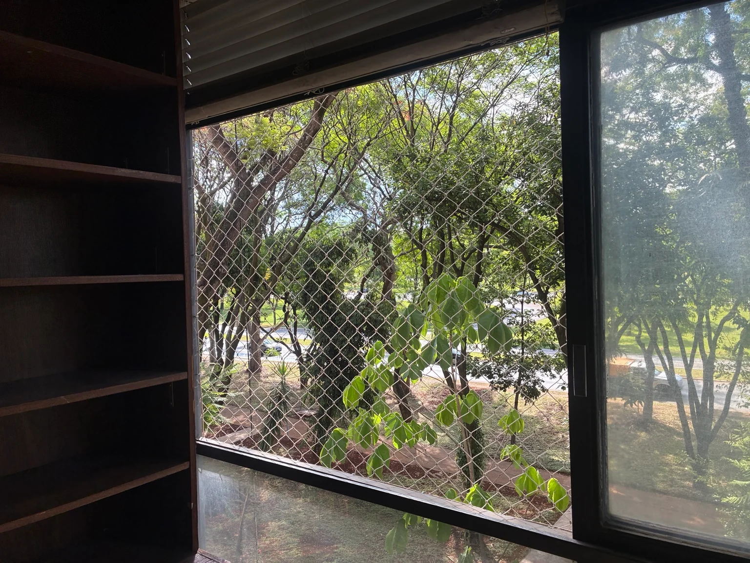 Vista interna da rede de proteção para gatos junto à esquadria escura da janela.