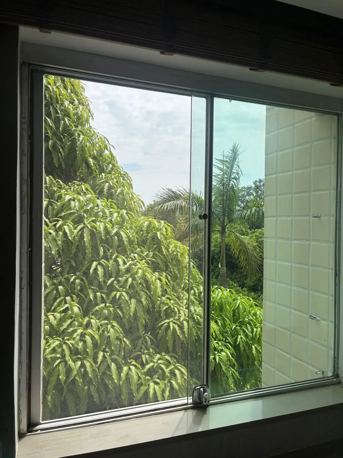 Vista lateral da tela na janela com vegetação ao fundo — AOS 2, Bloco D, Octogonal.