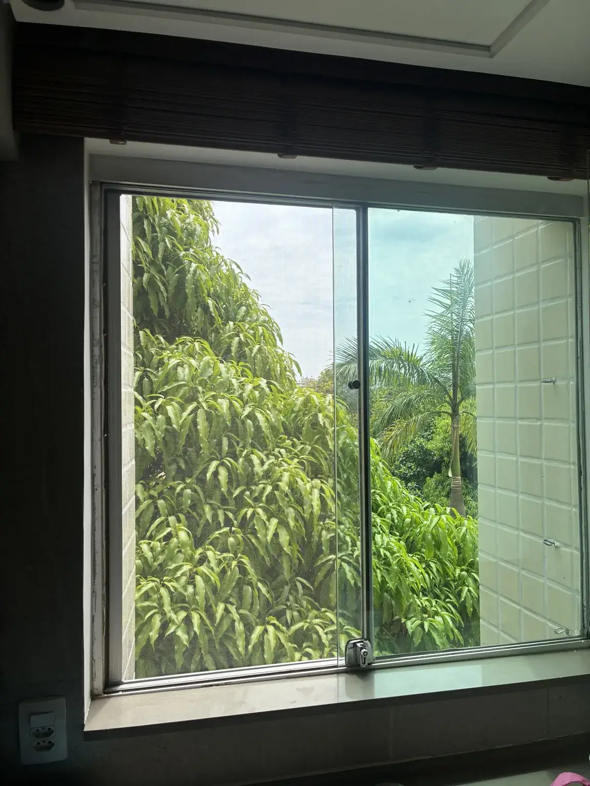 Tela mosquiteira na janela ampla voltada para a área verde — AOS 2, Bloco D, Octogonal.