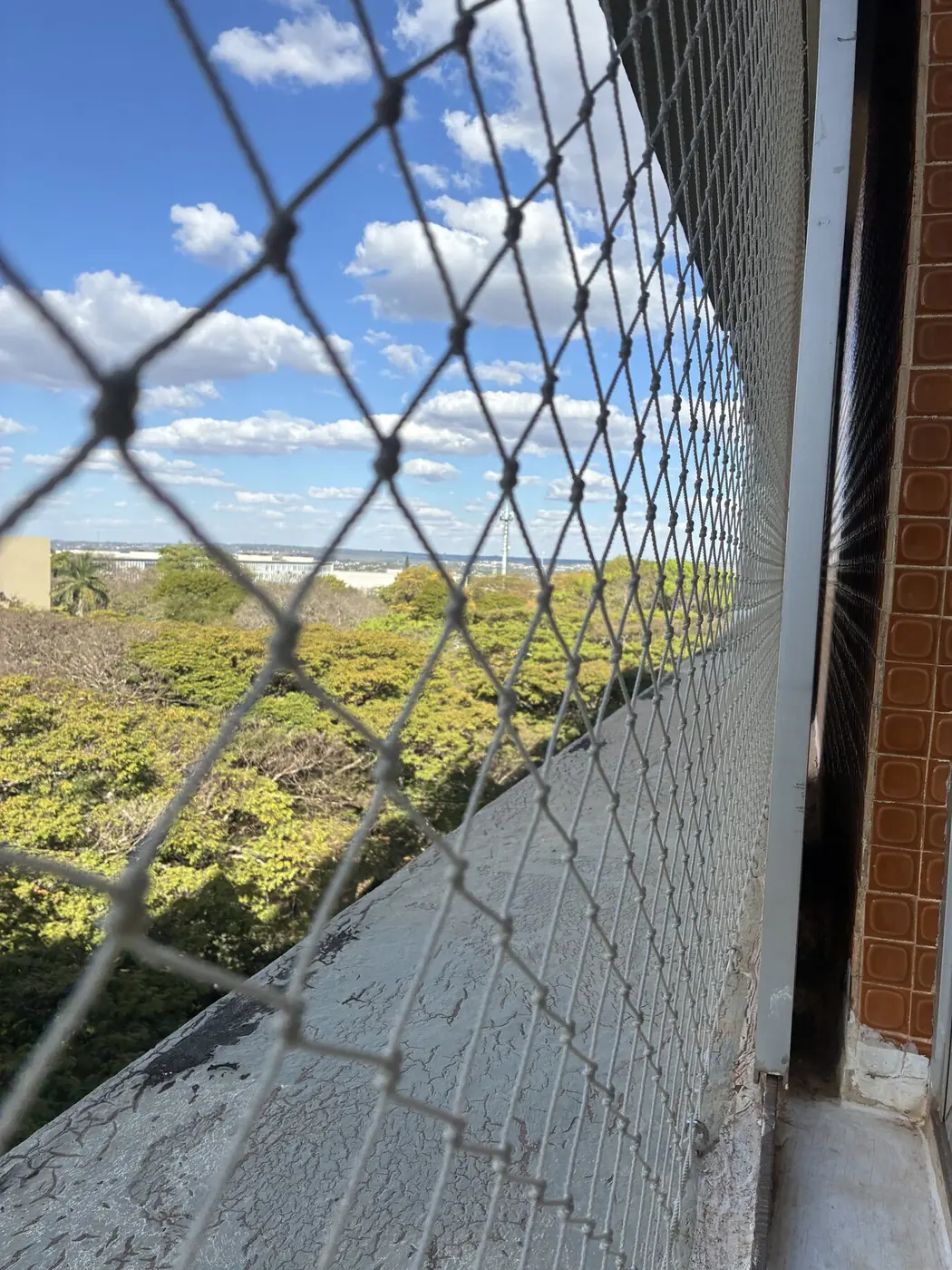 Detalhe de rede de proteção instalada em janela com vista para Brasília na Asa Sul